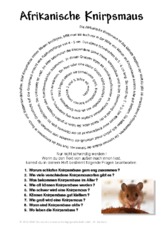 Afrikanische Knirpsmaus.pdf